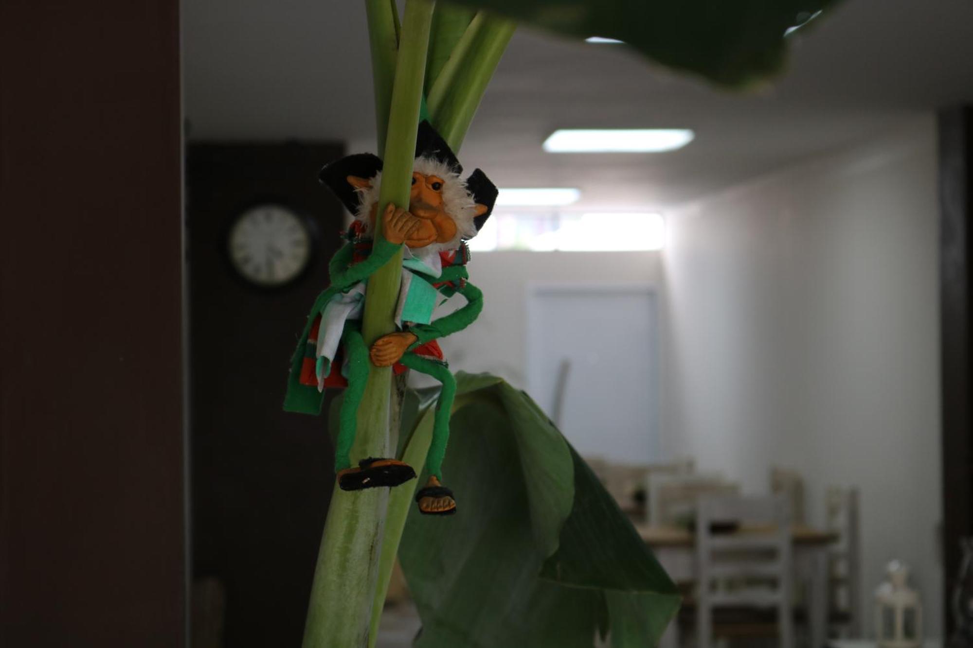Hotel Quebrachales 圣萨尔瓦多德朱 外观 照片